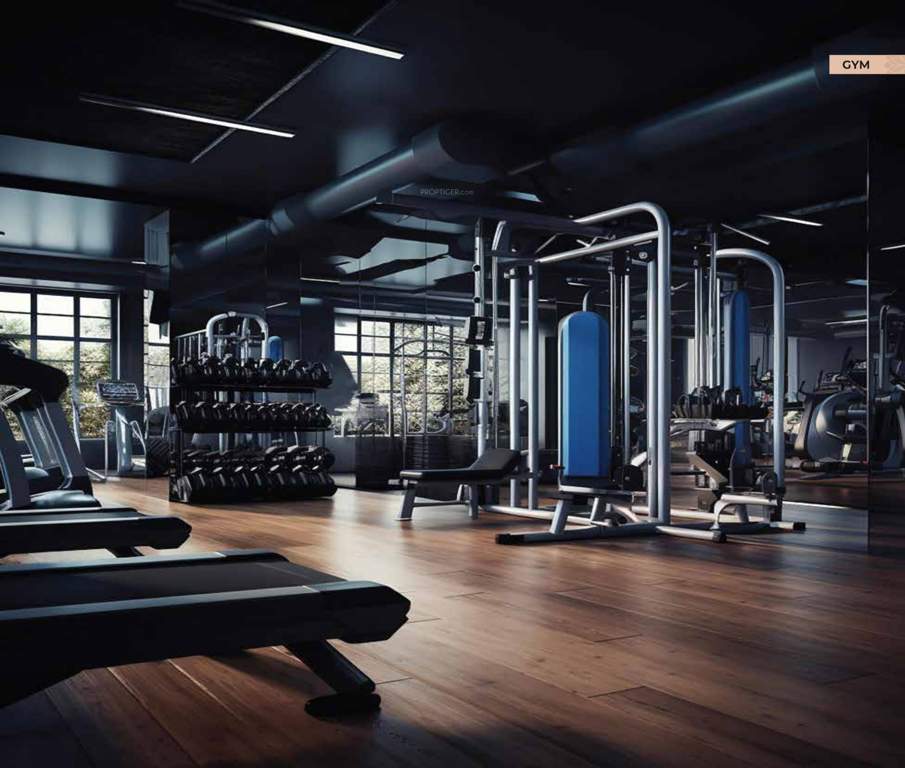  elite gardens Gymnasium