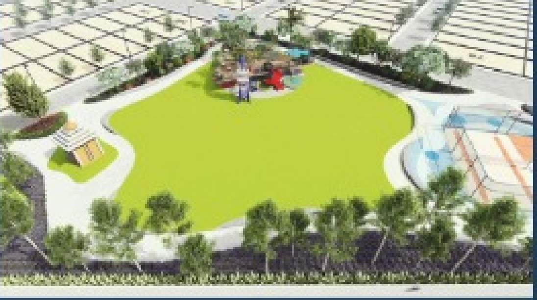  iris dreamzz Landscape Garden and Tree Planting