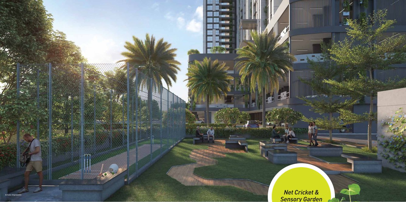  amberwood Cricket Pitch