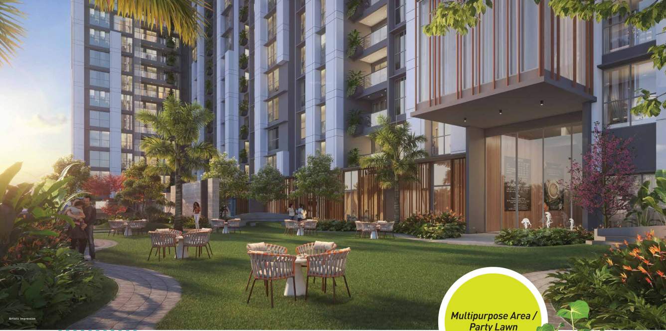  amberwood Party Lawn