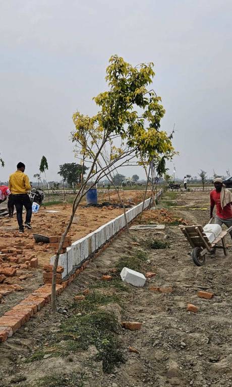  presidium empire Plot