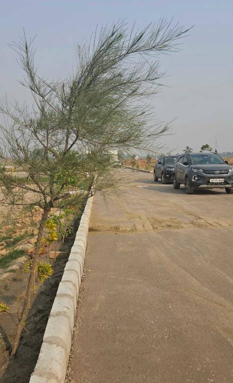  presidium empire Plot