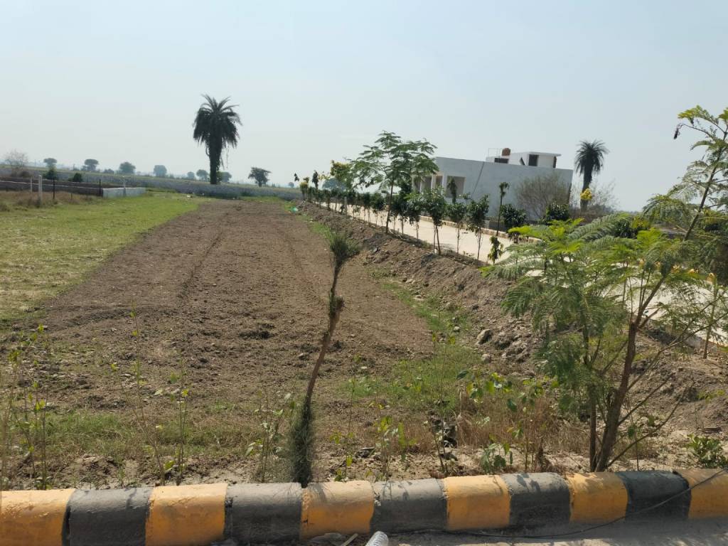  presidium empire Plot