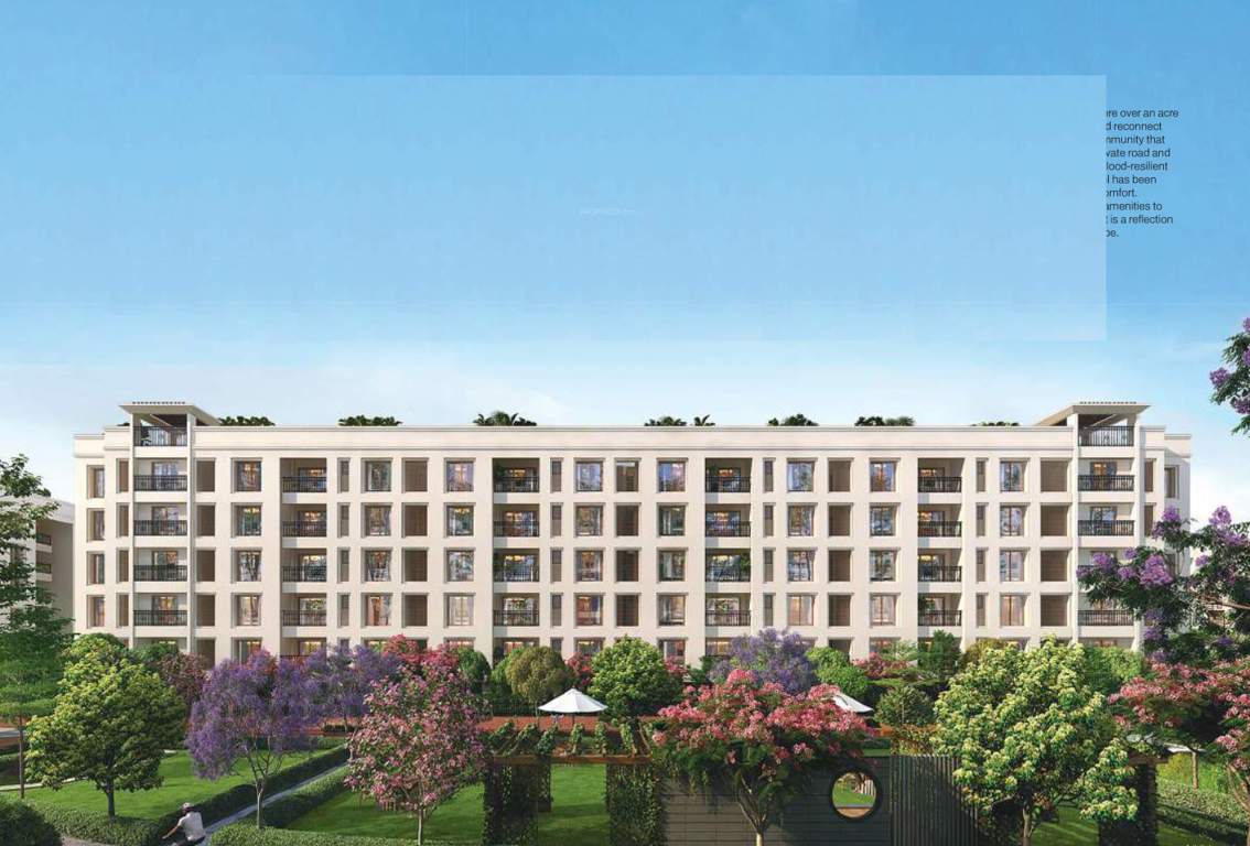  central park Elevation