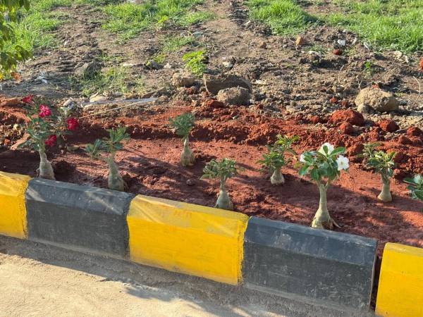  harithams-srt-pride Others