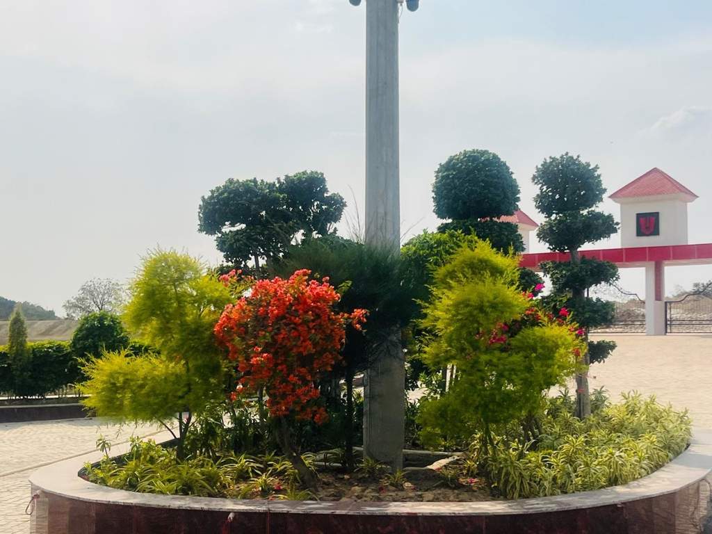  new tirupati paradise project 2 Landscape Garden and Tree Planting