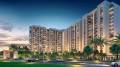 SBP Group Montefiore