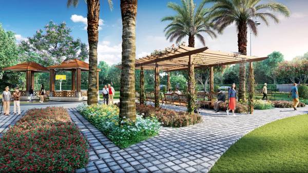  montefiore Senior Citizen Sitout