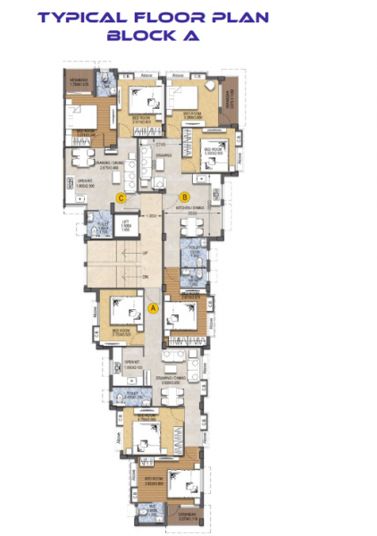  selena Selena Cluster Plan