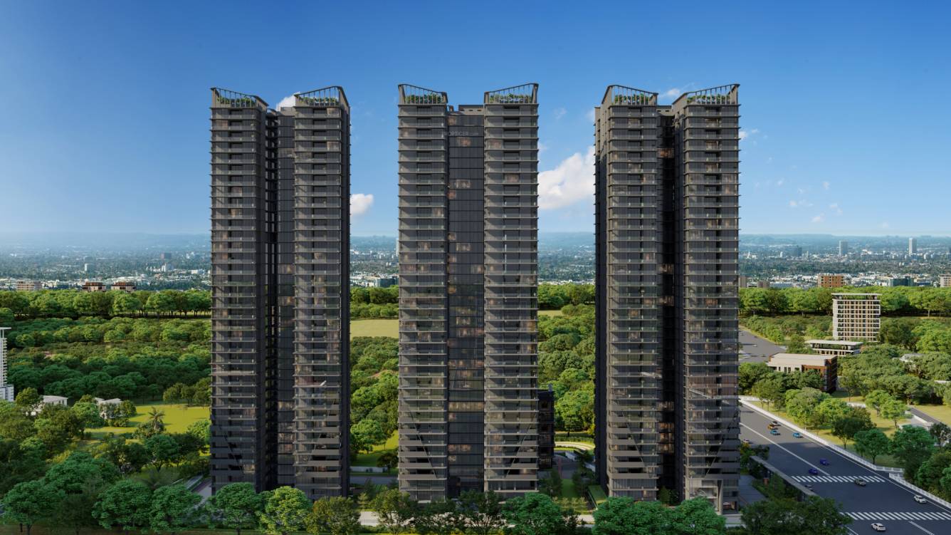  gs infinity Elevation