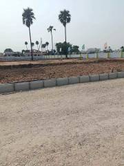 Project Image Project Image