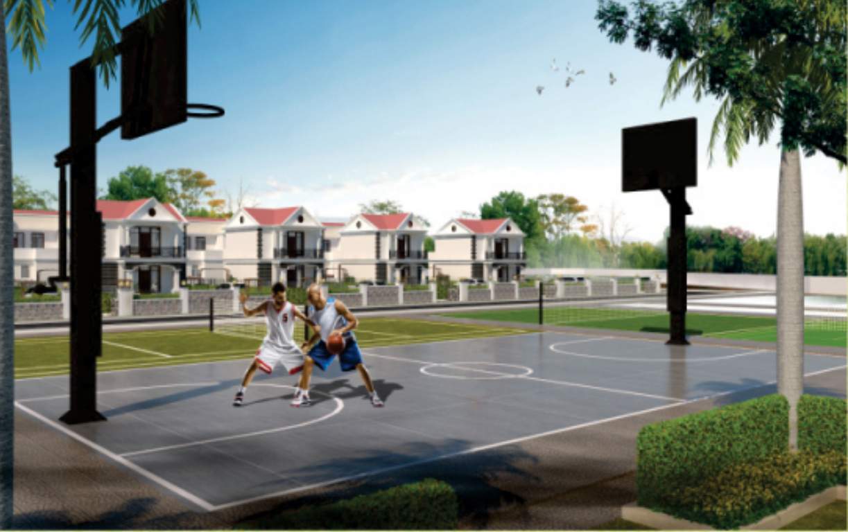  dream cottage Basketball Court