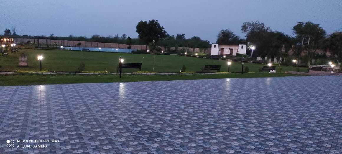  dream cottage Landscape Garden and Tree Planting