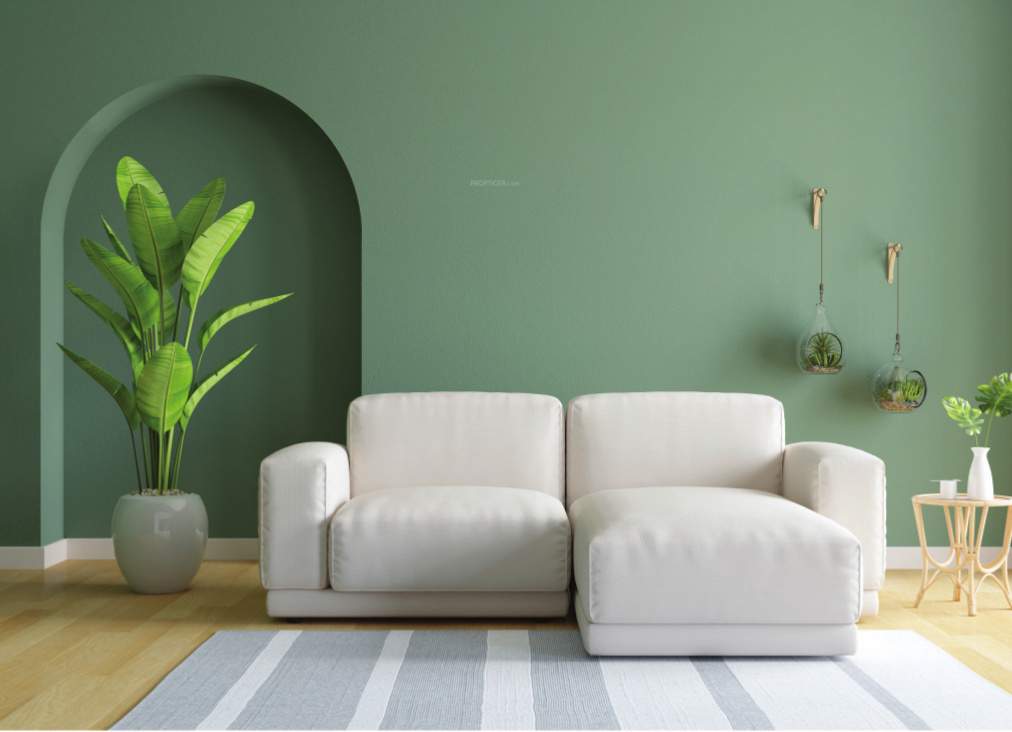  sorai saapori Living Area