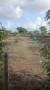 Stargaze Properties Plots In JNPT