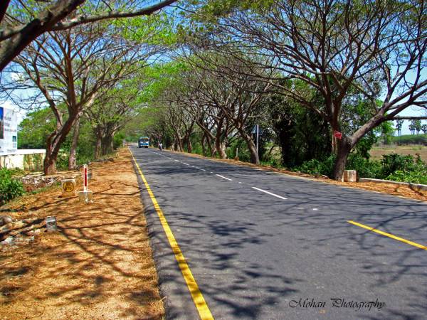  sree-jeeva-nagar Internal Roads & Footpaths