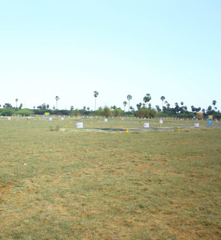  sree jeeva nagar Plot