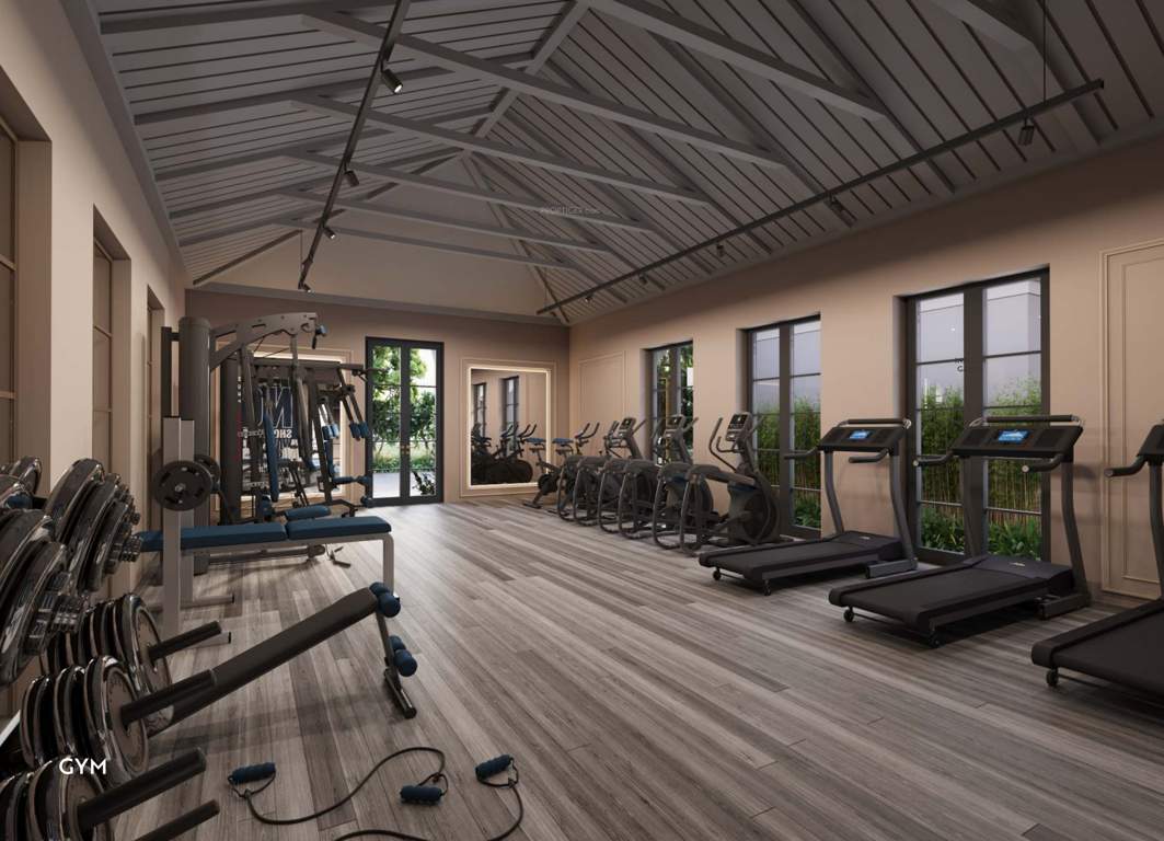  savanna season Gymnasium