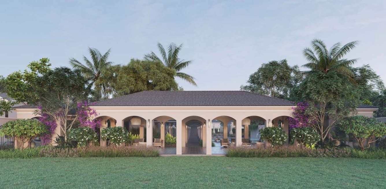  savanna season Landscape Garden and Tree Planting