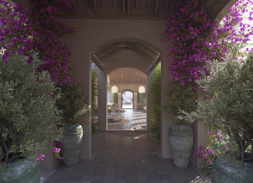  savanna season Landscape Garden and Tree Planting