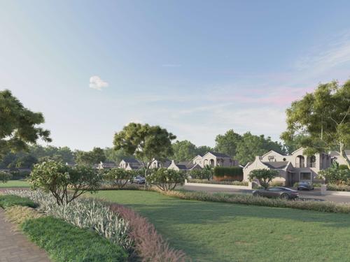  savanna-season Landscape Garden and Tree Planting