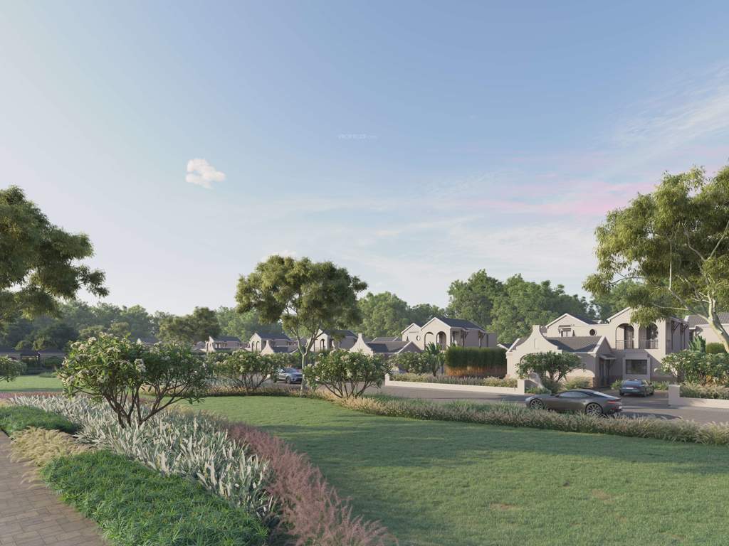  savanna season Landscape Garden and Tree Planting