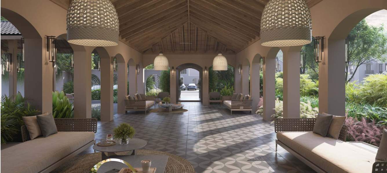  savanna season Senior Citizen Sitout