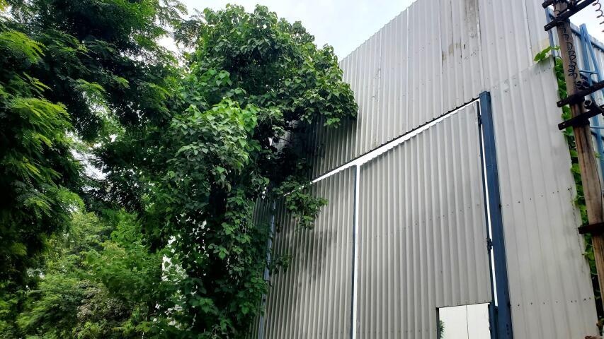  alira 39 Construction Status July 25