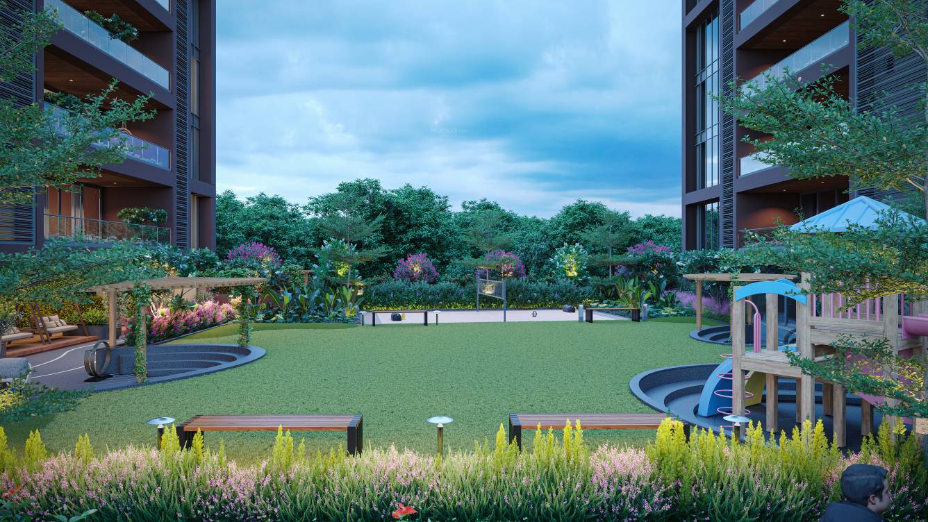  tree top Landscape Garden and Tree Planting