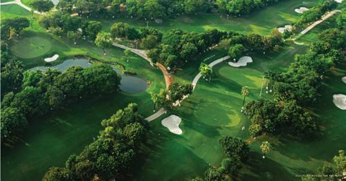  balmoral-wing-f Others