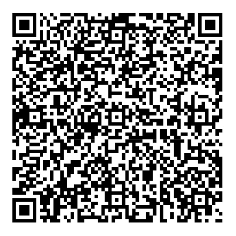 QR Image