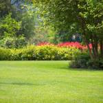 Others aspire-homes Others