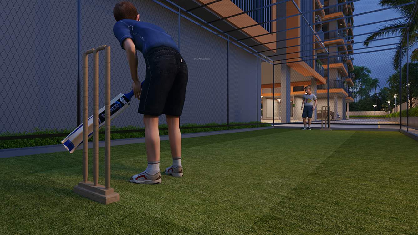  shyama serene Cricket Pitch