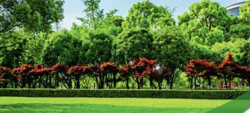  green-city Landscape Garden and Tree Planting