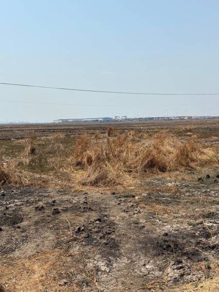  mahamumbai-plots-in-ranjanpada Elevation