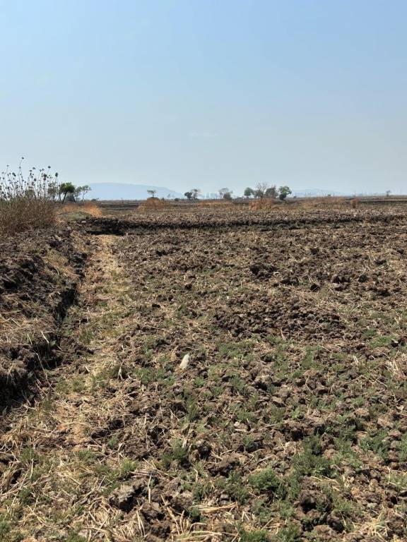 Elevation mahamumbai plots in sarde Elevation
