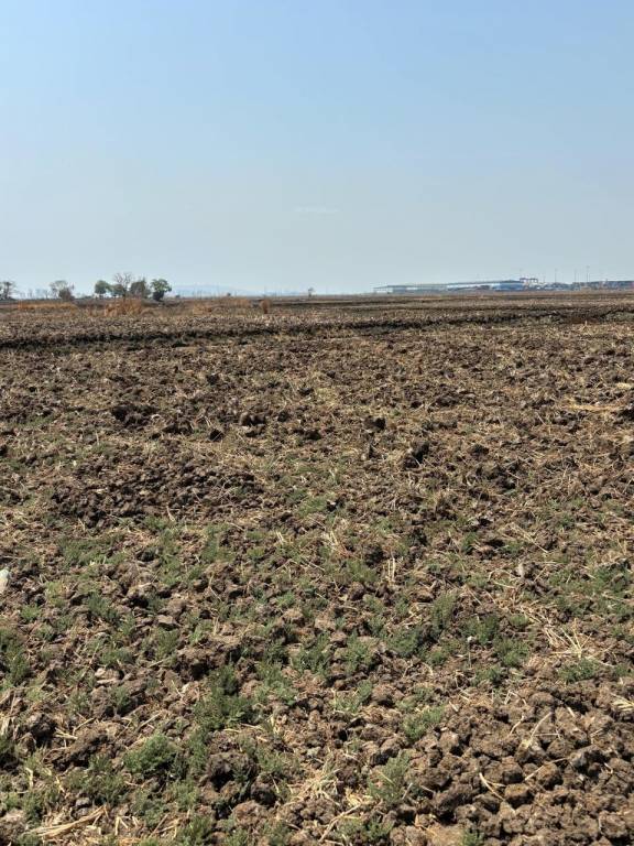  mahamumbai plots in khopate Plot