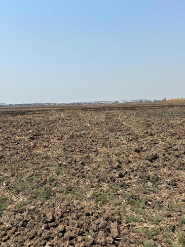  mahamumbai-plots-in-belondekhar Elevation