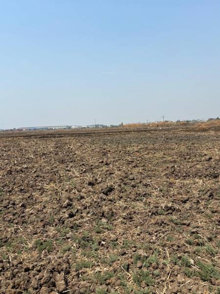  mahamumbai-plots-in-belondekhar Plot