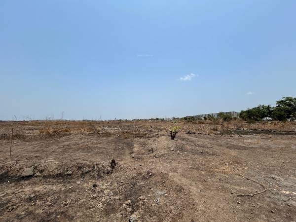  mahamumbai-plots-in-dronagiri Plot