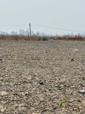  mahamumbai-plots Elevation