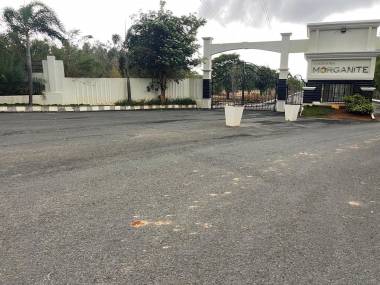  morganite-layout Elevation