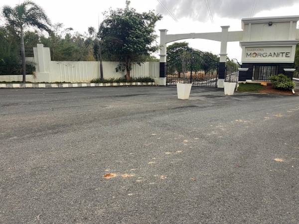  morganite-layout Elevation