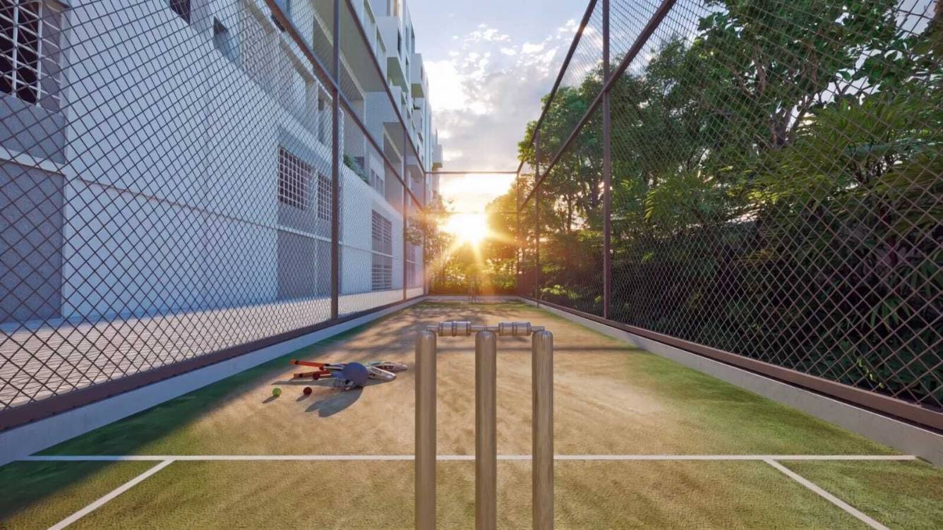 aurum avenue Cricket Pitch