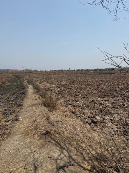  mahamumbai-plots-in-panvel Elevation