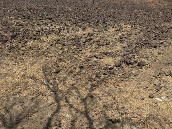  mahamumbai-plots-in-panvel Plot