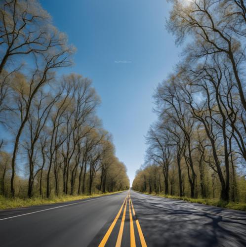 Internal Roads & Footpaths tatva-resorts-and-farms Internal Roads & Footpaths