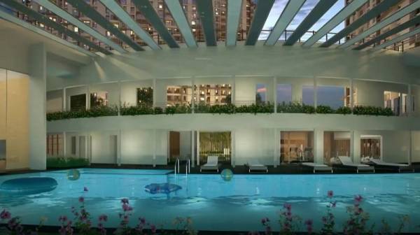 Swimming Pool majesty Swimming Pool