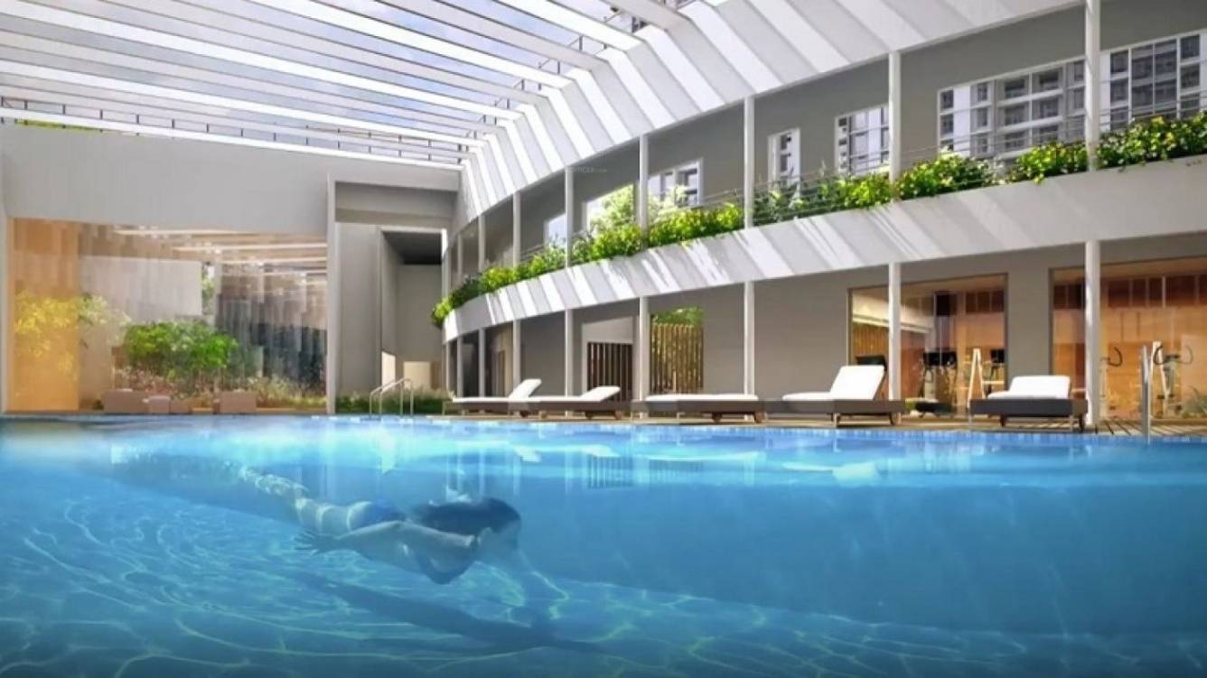  majesty Swimming Pool