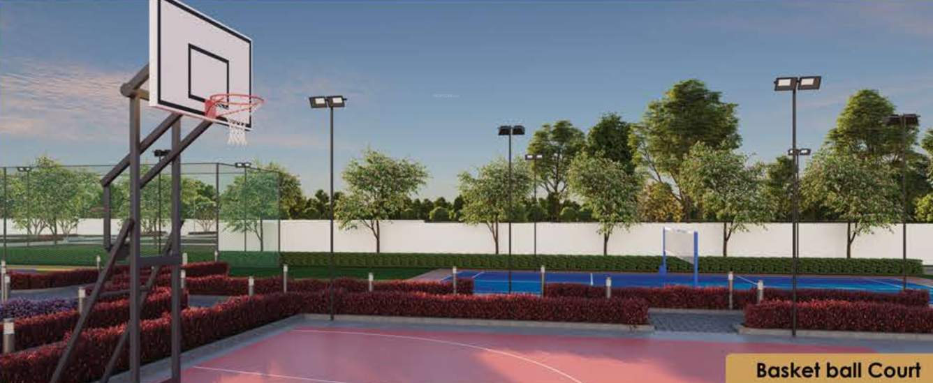  empire Basketball Court